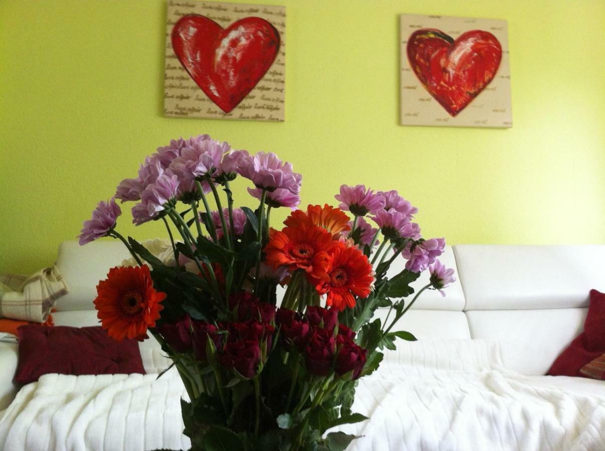 Traumhaftes Apartment In Moenchengladbach Ohler מראה חיצוני תמונה
